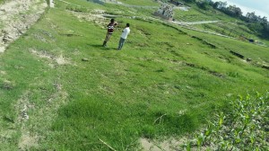 bhangalli.jpg