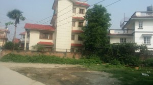 chandol.jpg