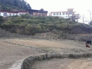 thankot1.jpg
