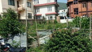 thapathali.jpg
